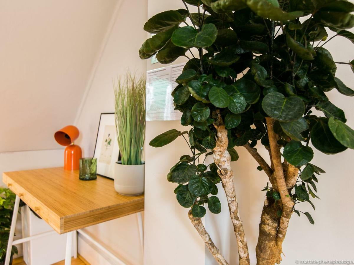 Exquisite 3Bdr Botanical Oasis In Central Brighton Exterior foto